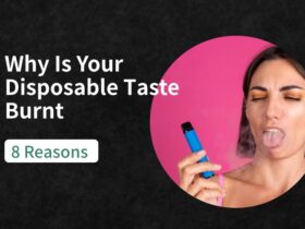 Why-Is-Your-Disposable-Taste-Burnt-8-Reasons