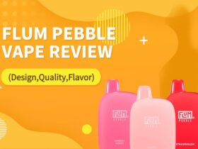 flum-pebble-vape-review-design-quality-flavor